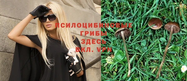 крисы Алексеевка