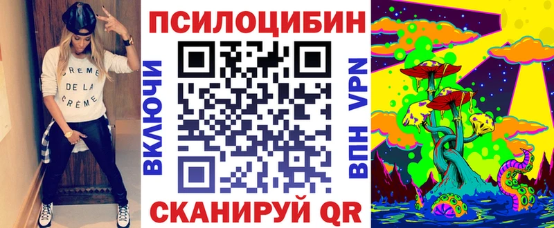 ОМГ ОМГ сайт  Жиздра  Псилоцибиновые грибы Cubensis 